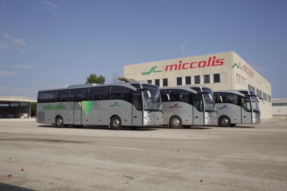 Impresa Più Impresa MICCOLIS S.P.A. Impresa Più Impresa MICCOLIS S.P.A.